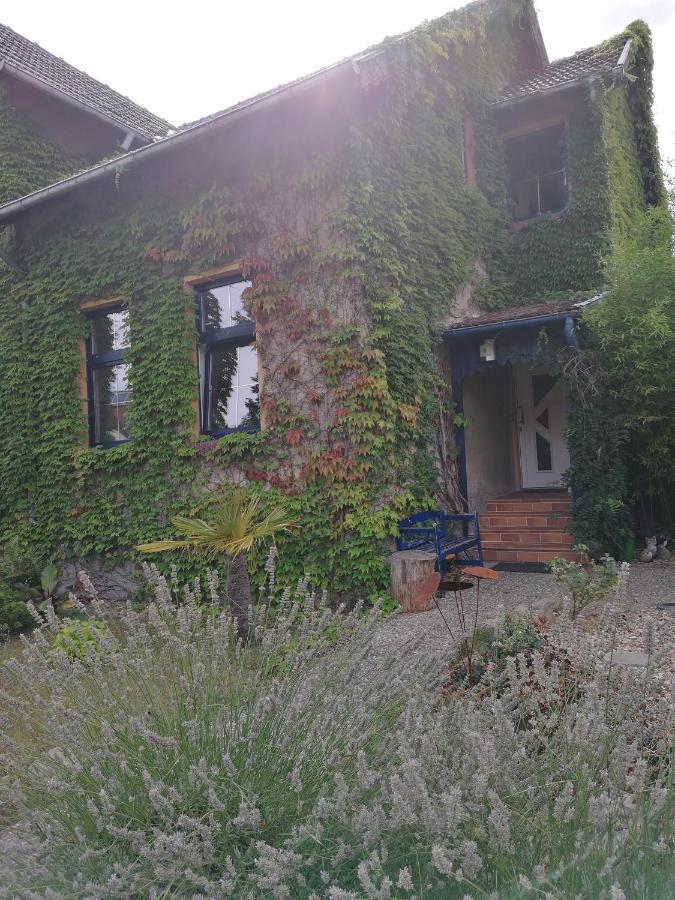 Yourhome-Pm Michendorf Exteriör bild